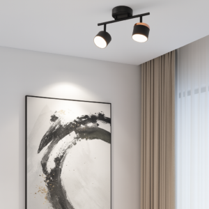 Aplica de Tavan 2 X Bec LED, GX53, 3 Tipuri De Lumina, 24W, Negru/Auriu