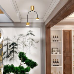 Aplica de Tavan 2 X Bec LED, GX53, 3 Tipuri De Lumina, 24W, Negru/Auriu
