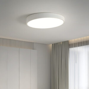 Plafoniera LED RFAN, Rotunda, Mat, 30W, Lumina Rece, 6500K, Alb